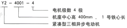 西安泰富西瑪Y2系列(H355-560)6KV緊湊型高壓異步電機西安西瑪電機型號說(shuō)明 西安泰富西瑪Y2系列(H355-560)6KV緊湊型高壓異步電機西安西瑪電機型號說(shuō)明